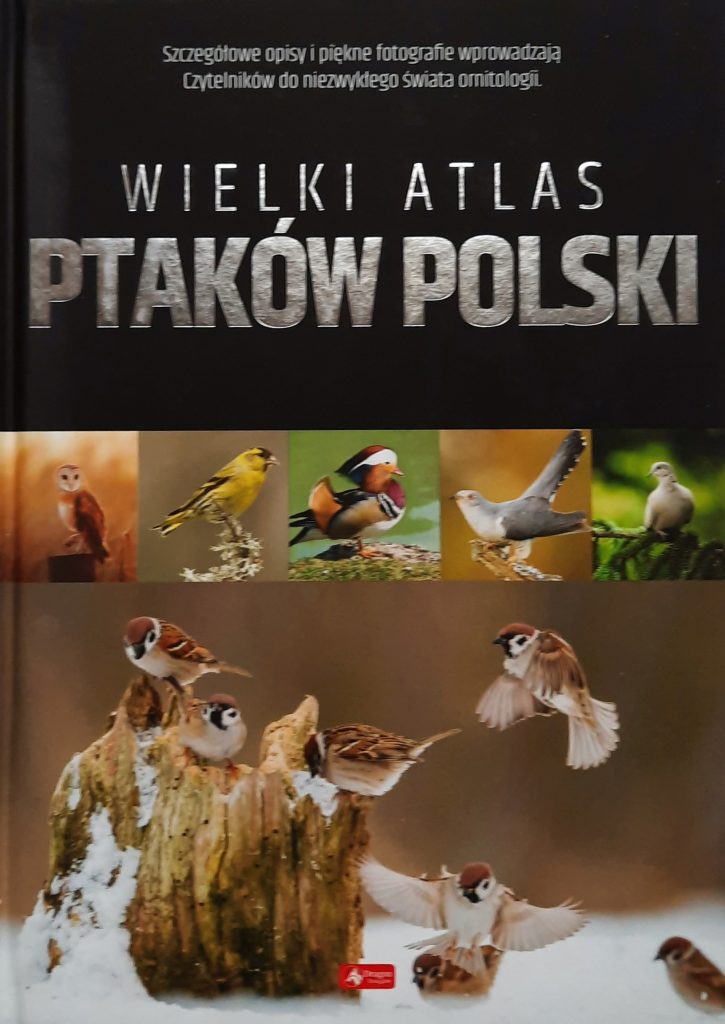 Wielki atlas ptaków Polski Antykwariat Filar