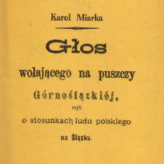 Głos wołającego na puszczy Górnoślązkiej czyli o stosunkach ludu polskiego na Ślązku