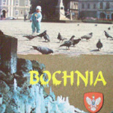 BOCHNIA