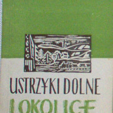 Ustrzyki Dolne i okolice