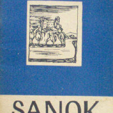 Sanok i okolice