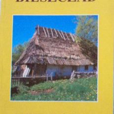 BIESZCZAD 8. Rocznik Towarzystwa Opieki nad Zabytkami Oddział w Michniowcu. 