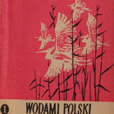 Wodami Polski do granicy pokoju. Tom I. Odcinek , I, II, III.