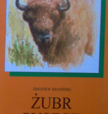 Żubr puszcz imperator