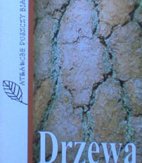 Drzewa