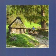 BIESZCZAD 14. Rocznik Towarzystwa Opieki nad Zabytkami Oddział Bieszczadzki.