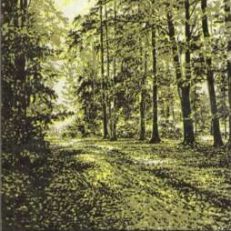 Arboretum Kórnickie. Przewodnik.