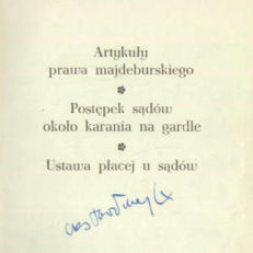 Artykuły prawa magdeburskiego. Postępek sądów około karania na gardle. Ustawa płacej u sądów.