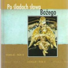 Po śladach słowa Bożego. Homilie - Rok B.