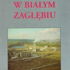 W Białym Zagłębiu. Historia i dzień dzisiejszy Cementowni Nowiny Dyckerhoff ZPW "Trzuskawica" - Sitkówka