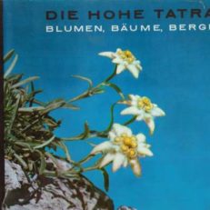 Die Hohe Tatra. Blumen, Bäume, Berge