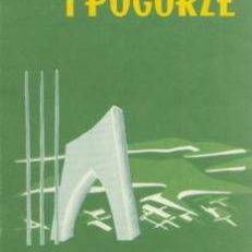 BESKID Niski i Pogórze. Mapa turystyczna. 1:125000.