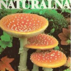 HISTORIA naturalna. Botanika.