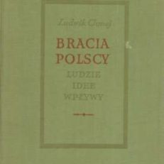 Bracia polscy. Ludzie. Idee. Wpływy