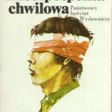 Rzeczpospolita chwilowa
