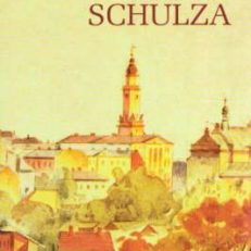 Miasto Schulza