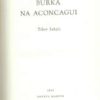 Burka na Aconcagui.  - obrazek 2