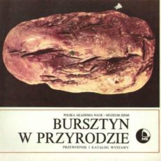 BURSZTYN w przyrodzie. Przewodnik i katalog Wystawy /w Muzeum Ziemi/.