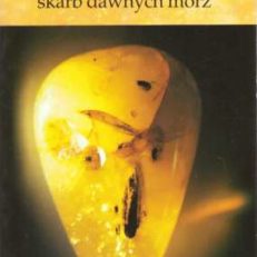 BURSZTYN skarb dawnych mórz