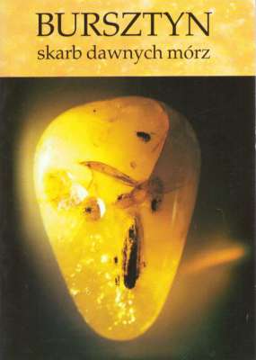 BURSZTYN skarb dawnych mórz
