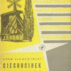 Ciechocinek i okolice