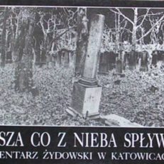 CISZA co z nieba spływa. Cmentarz Żydowski w Katowicach