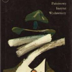 Coś się stało