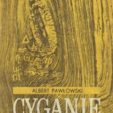 Cyganie. Studia nad przestępczością