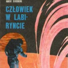 Człowiek w labiryncie.