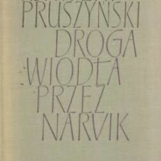 Droga wiodła przez Narvik.
