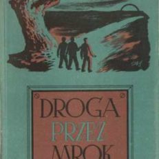 DROGA przez mrok. Opowiadania pisarzy niemieckich 1933-1945. 