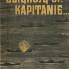 Dziękuję ci kapitanie