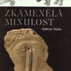 Zkamenela minulost.