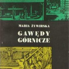 Gawędy górnicze. Szkice z dziejów i tradycji polskiego górnictwa
