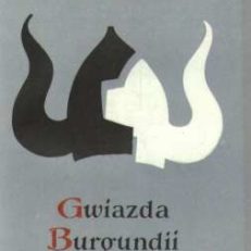 Gwiazda Burgundii. Powieść o Nibelungach