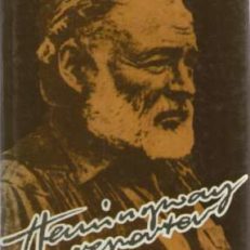 Hemingway reporter