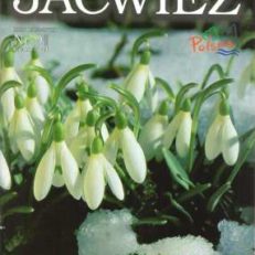 JAĆWIEŻ. Kwartalnik