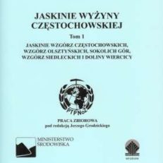 JASKINIE Wyżyny Częstochowskiej. Tom 1. Jaskinie Wzgórz Częstochowskich, Wzgórz Olsztyńskich, Sokolich Gór, Wzgórz Siedleckich i Doliny Wiercicy