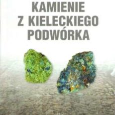 Kamienie z kieleckiego podwórka.