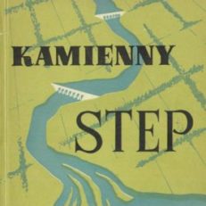 Kamienny step. 