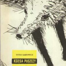 Księga puszczy. Bałabuszka – Złoty Lis