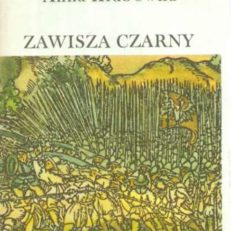 Zawisza Czarny w historii i legendzie