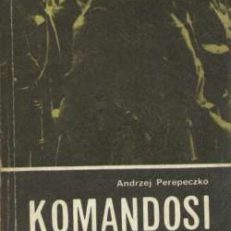 Komandosi w akcji.