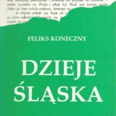 Dzieje Śląska. Ozdobione licznymi obrazkami