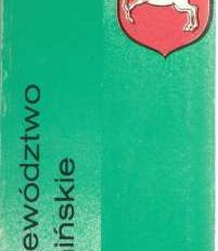 Województwo konińskie