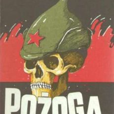 Pożoga. Wspomnienia z Wołynia 1917-1919