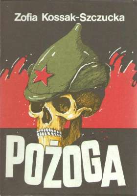 Pożoga. Wspomnienia z Wołynia 1917-1919