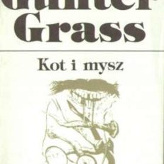 Kot i mysz