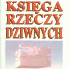 KSIĘGA rzeczy dziwnych 2.