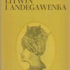 Litwin i Andegawenka. Powieść historyczna.